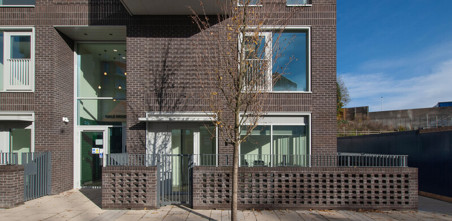 Kidbrooke Tree and Yellow