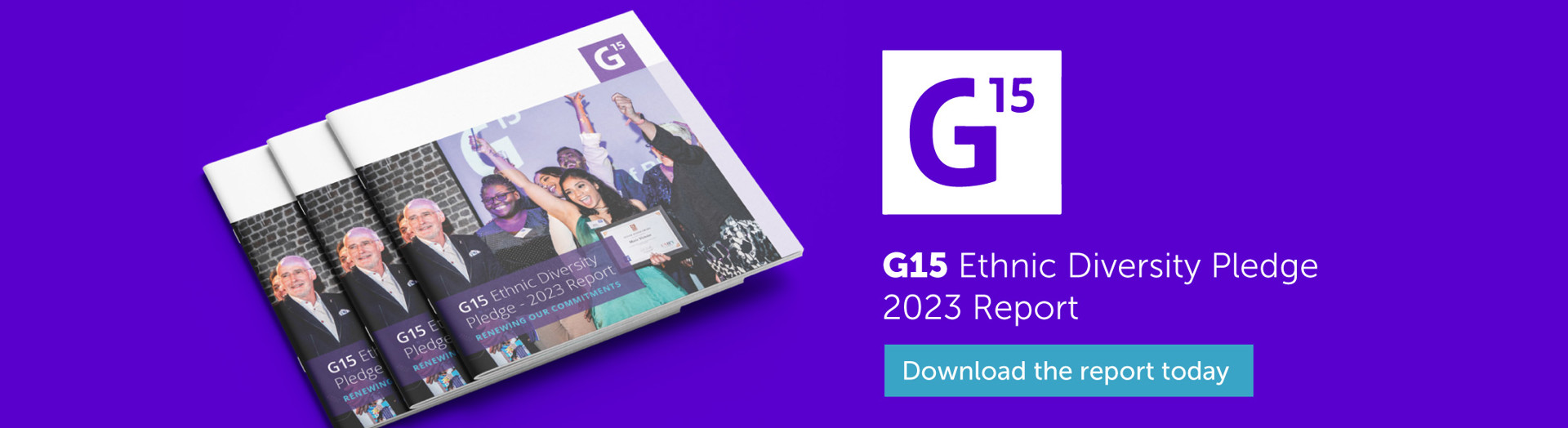 G15 Diversity Pledge logo and report